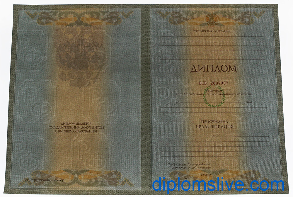 Диплом специалиста 2004-2008 год фото